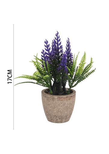 [631008-3棕] Rama de lavanda en maceta de 17 cm - Planta de interior decorativa