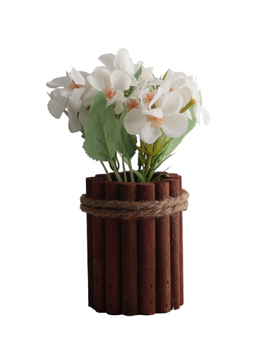 [5101084-2] Planta en maceta pequeña - Bonsai para decoración
