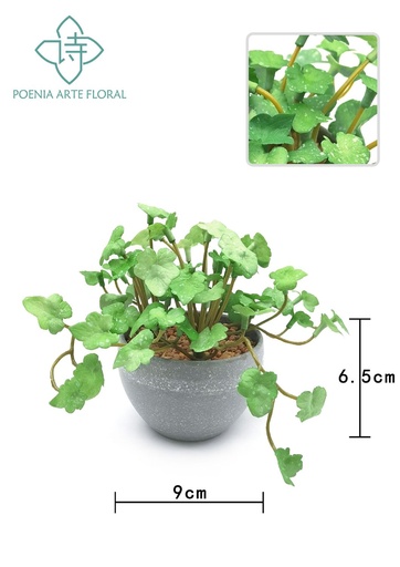 [630447-3] Bonsái artificial de aspidistra en maceta gris - Planta decorativa