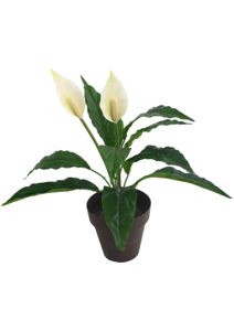 [M630905白] Bonsái artificial de 12 cabezas de paz en maceta de 43 cm - Planta decorativa