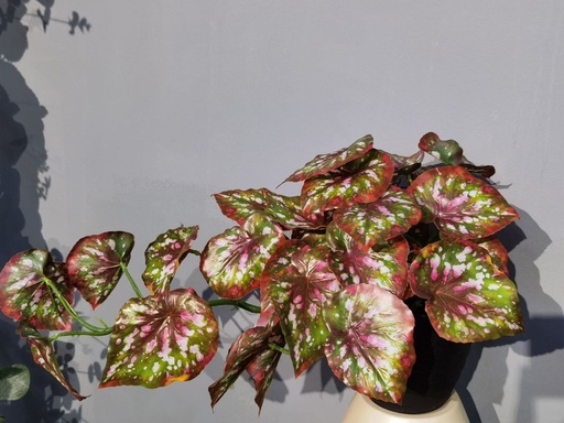 [630443] Bonsái artificial de hoja de taro colgante - Planta decorativa