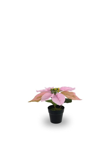 [630872-PINK] Bonsái artificial de 1 cabeza de Flores de Navidad simuladas - Planta decorativa