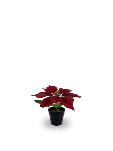 [630872-RED] Bonsái artificial de 1 cabeza de Flores de Navidad simuladas - Planta decorativa
