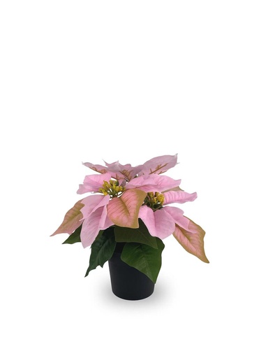 [630871-PINK] Bonsái artificial de 3 cabezas cortas de Flores de Navidad de 25 cm - Planta decorativa