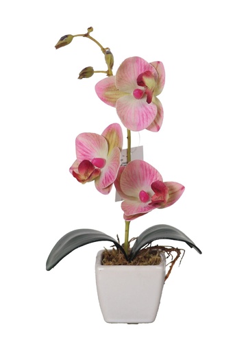 [631122-粉] Planta artificial - Orquídea mariposa en miniatura
