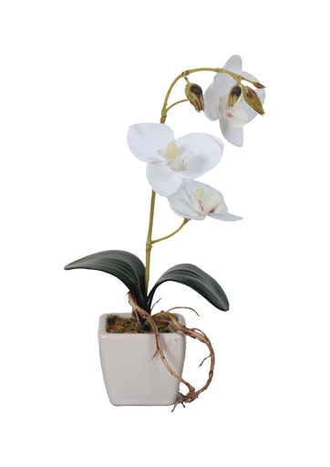 [631122-白] Mini orquídea en maceta decorativa