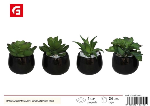 [200987443] Maceta cerámica R/N suculentas 9-11 cm - Decoraciones para el jardín