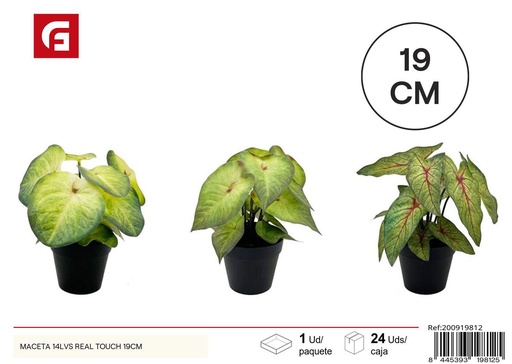 [200919812] Maceta 14LVS Real Touch 19 cm - Plantas decorativas