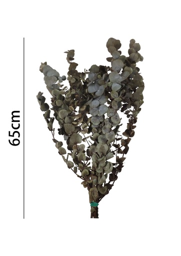 [7196-VERDE] Eucalipto preservado 65 cm - Flores artificiales