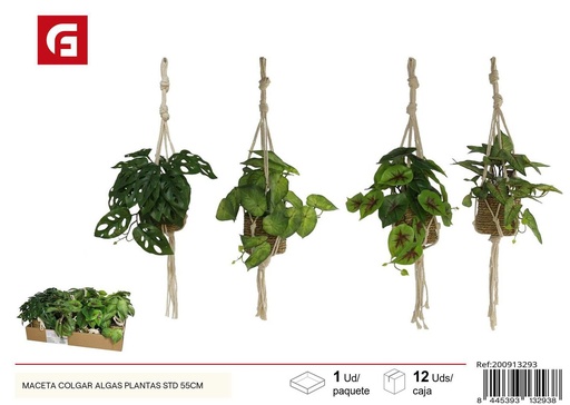 [200913293] Maceta colgar algas plantas STD 55 cm - Soporte seguro para decoraciones