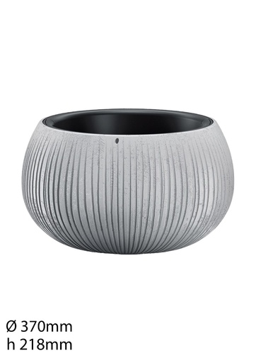 [BETON_BOWL_DKB_370_422U_M] Planta en maceta de plastic  - Macetas y decoraciones
