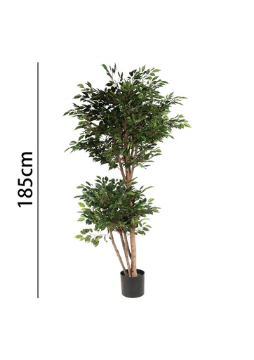 [631361] Mini árbol de ficus 185 cm - Plantas decorativas