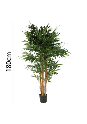 [631356] Bambú con maceta 180 cm - Plantas decorativas