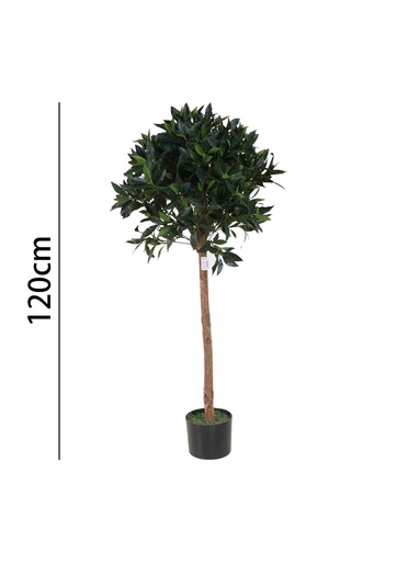 [631345] Árbol de laurel con maceta 120 cm - Plantas decorativas