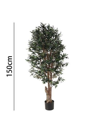 [631341] Olivo con maceta 150 cm - Plantas decorativas