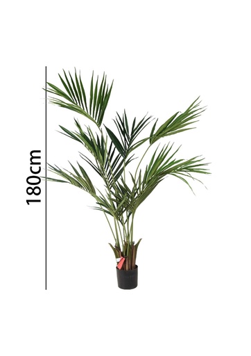 [631351] Palmera Kentia 180 cm con maceta - Plantas decorativas