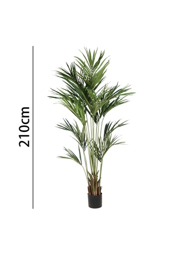 [631350] Palmera Kentia 210 cm con maceta - Plantas decorativas