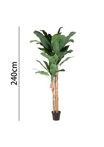 [631346] Árbol de banano 240 cm con maceta - Plantas decorativas