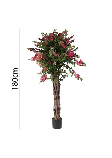 [631342] Bougainvillea 180 cm con maceta - Plantas decorativas