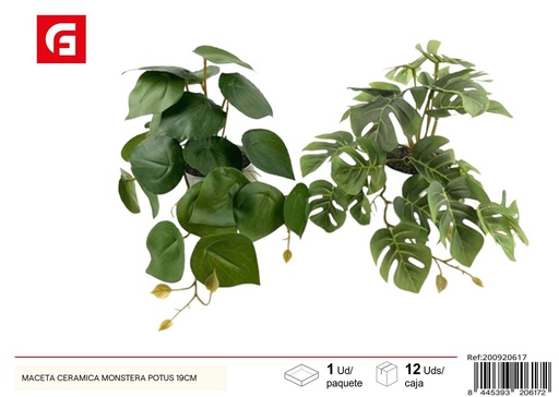 [200920617] Maceta cerámica Monstera Potus de 19 cm - Macetas decorativas para plantas