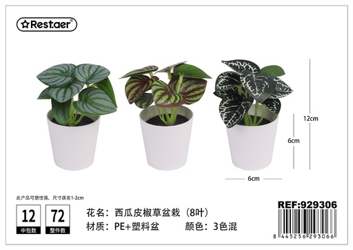[929306] Planta artificial de maceta de Pimiento Sandía 12 cm - Jardinería innovadora y decoración