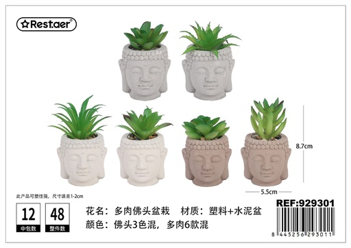 [929301] Planta suculenta de cabeza de Buda 8.7 cm - Elementos decorativos y jardinería estética