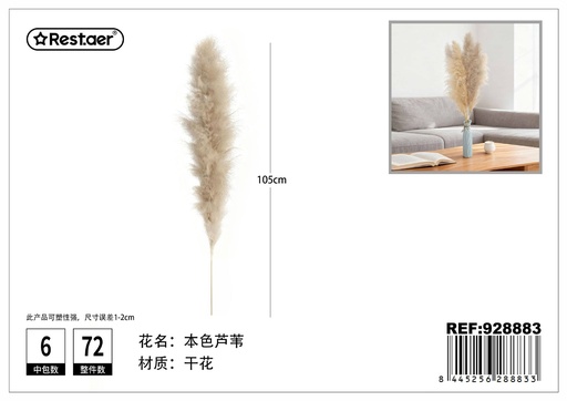[928883] Ramo de cañas secas de color natural 90-100cm - Flores secas decorativas