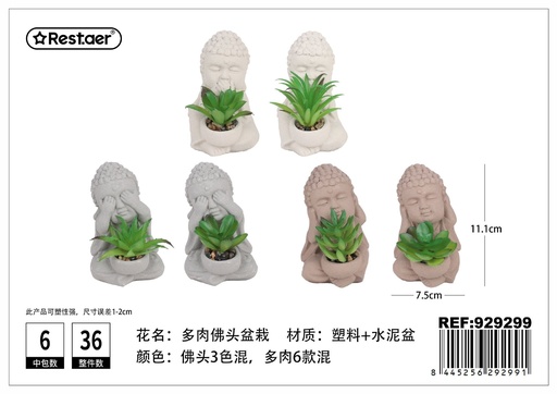 [929299] Planta suculenta de cabeza de Buda 11.1 cm - Jardinería moderna y elegancia sintética
