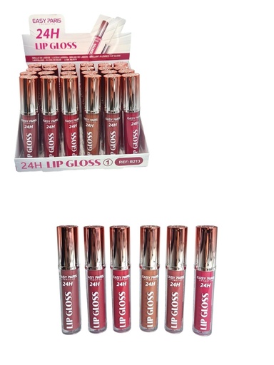 [B213-01] Baño de labios fijo (estuche de 24) - Cosméticos de labios