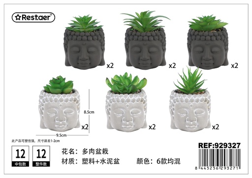 [929327] Planta suculenta de cabeza de Buda (9.5x9.3x8.5/12 cm) - Elementos creativos y stylish