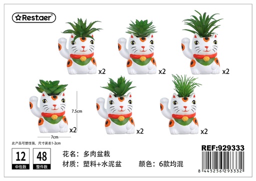 [929333] Planta suculenta de gato atrapa dinero (7x5.6x7.5/10.5 cm) - Elementos creativos y decoración