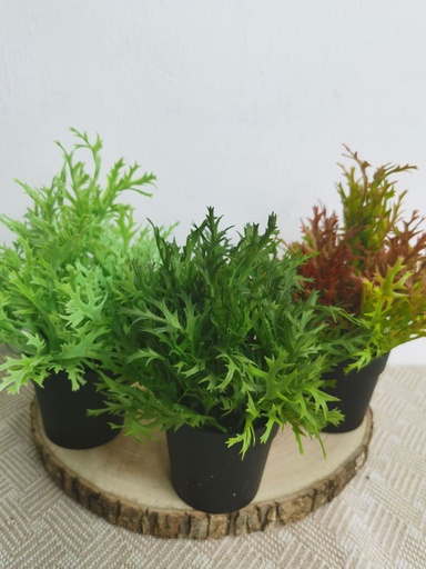 [5101029-4] Pequeña planta de maceta - Decoración de plantas