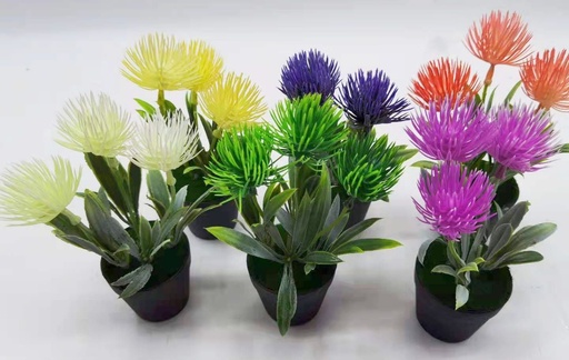 [5101025] Planta decorativa 5101025 - Plantas decorativas