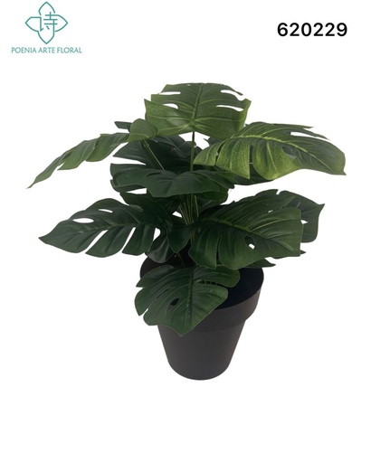 [620229万年青] Bonsái artificial Planta de interior 45cm - Decoración de plantas