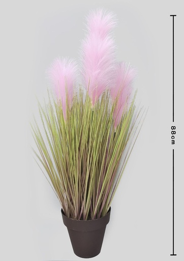 [630286]  planta decorativa de caña - Decoración de hogar