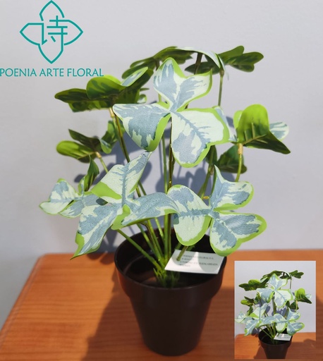 [M630334-2] Planta en maceta pequeña M630334-2 (8435588851362) - Macetas decorativas