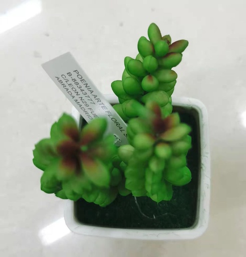 [630407] Maceta suculenta de flores artificiales - Plantas decorativas
