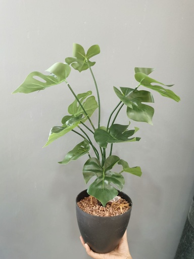 [630433] Planta artificial 12 cabezas de hoja de tortuga - Decoraciones ecológicas