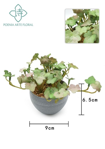 [630447-1] Planta de menta en maceta (gris) - Decoración de hogar