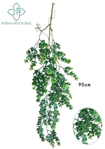 [630471] Hojas de eucalipto blancas - Decoración floral