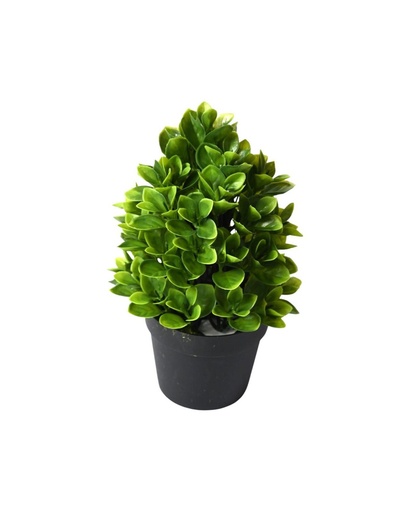 [630583] Planta artificial en maceta pequeña