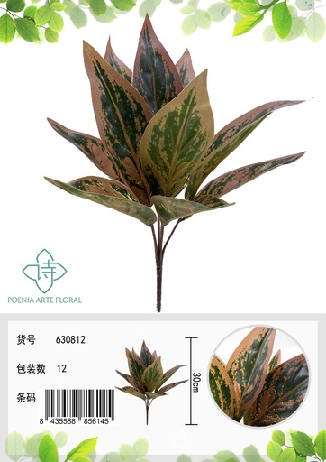 [630812] Espina de hoja de planta eterna roja 11 hojas - Plantas decorativas