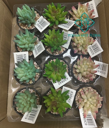 [630840] Planta suculenta artificial para decoración de interiores