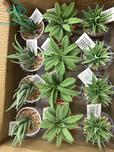 [630844] Planta suculenta en maceta - Flores artificiales