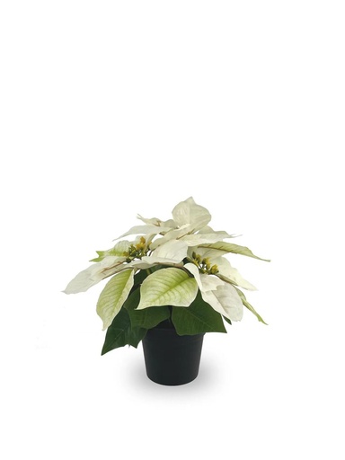 [630871-CREMA] Maceta de 3 cabezas de flores artificiales 25 cm - Uso decorativo