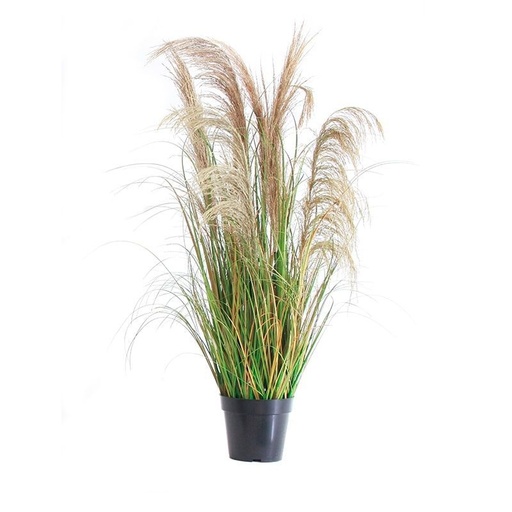 [631232-660-SSPZ-7头天然芦苇盆景-SKCL-77- 110CM 实物图] Planta artificial - Bonsái de caña natural 110 cm - Decoración de interiores